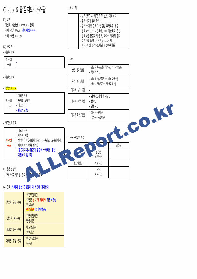 뉴만(해부학,운동학) 정리본(카셉시험) (5 페이지)